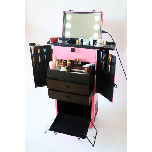 2017 new large capacity professional cosemetic station Aluminum material pink makeup case with lights and mirror