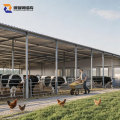 Довговічні сталеві будівлі для худоби