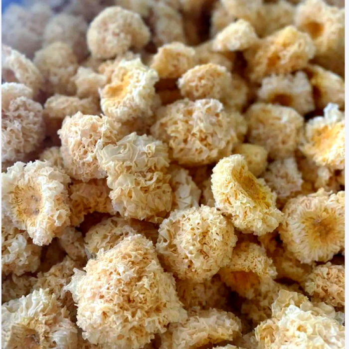 Delicioso fungo de orelha prateada