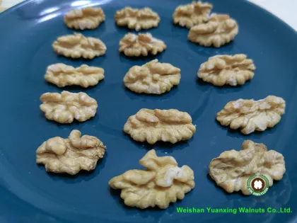 market factory`s hot sale goods Walnut Kernels