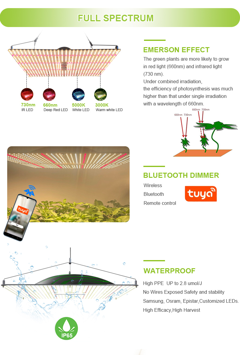 Led Grow Light