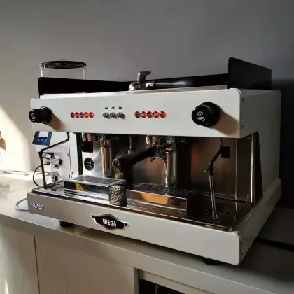 Wega Pegaso Picasso Double Head E61 Italian Semi-automatic Espresso Machine