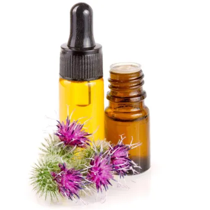 Wholesale Bulk Burdock Essential Oil For Hair Care