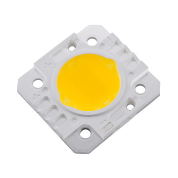 Cheap and good quality 3w-200w led cob module