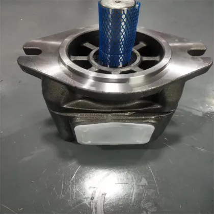 Hydraulic Pumps for Injection Molding Machines: Sunny HG2-125-01R-VPC-F and HYTEK HG1-40-01R-VPC-36