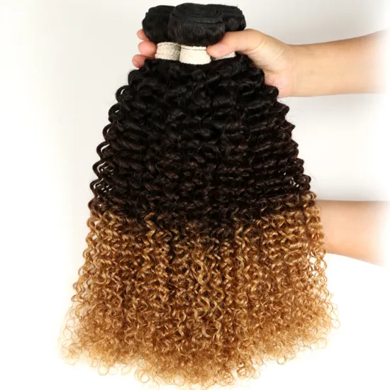 Factory virgin hair vendors ombre color kinky curly 1b 4 27 human hair