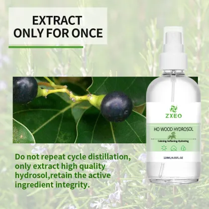 Camphor Leaf Distillate Water| Ho Leaf Hydrolat