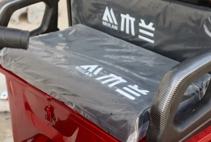 Mobility Electric Vehicle Electric Tricycles