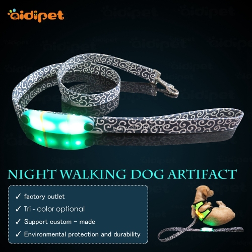 Nylon Webbing Led Light Up Dog Lead Leash