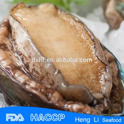 Frozen cooked abalone