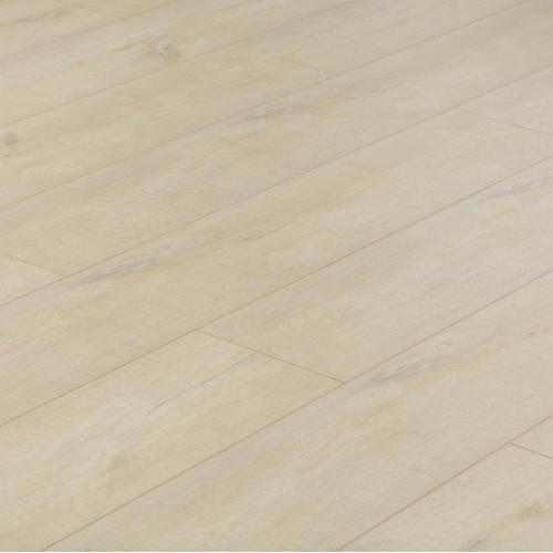 Lantai lamina maple white sawn mark maple