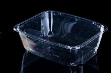 Clear Salad Plastic Packaging Box