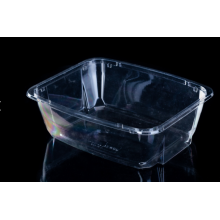 Clear Salad Plastic Packaging Box