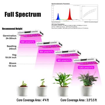 高い発電2000W LEDは屋内軽いを育てます