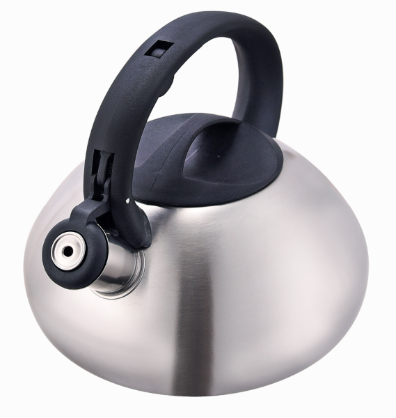 Polish finish tea kettle induction amazon