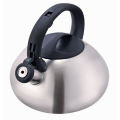 Polish finish tea kettle induction amazon