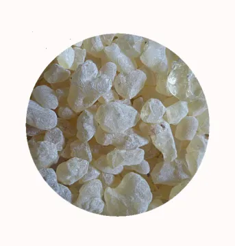 Nature Grade Damar Resin for Food, Ink, Cosmetic, and Medical Use