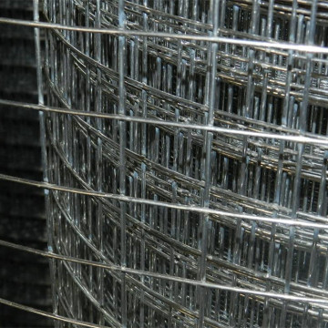 1''X 1'' Galvanized Welded Wire Mesh Rolls