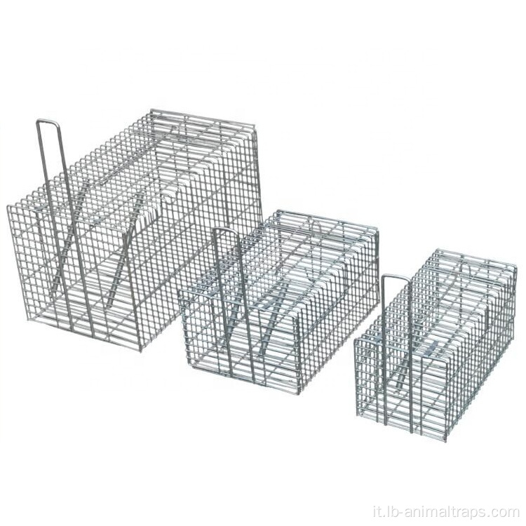 Trappola per gabbia per animali a sola porta cattura