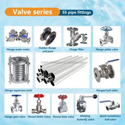 Mueller Strainer Y Strainer FTR Series: Y-Type & T-Type Filter Protect Valves for Equipment - Stainless Steel