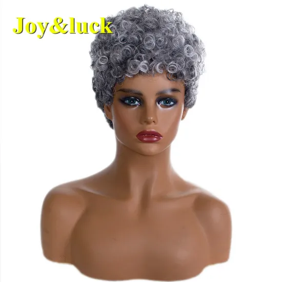 Wholesale Wigs African Ladies Hair Wigs for Black Women Party Black Ombre Silver Grey Natural Curly Short Synthetic Hair Wigs