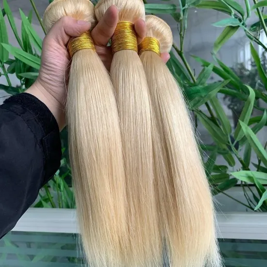 Brazilian Blonde Double Drawn Human Hair Bundles,Brazilian Virgin Raw Hair Wholesale Human Hair,100% Human Brazilian Hair