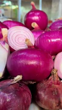 Bright Vivid Red Skin Onion