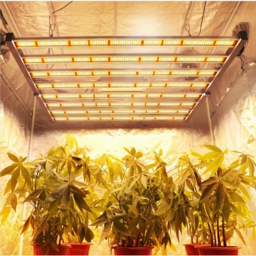 Luces de cultivo plegables de 640W para invernadero a la venta