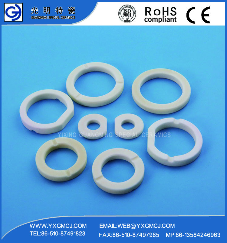 Anticorrosive Advanced 99 Alumina Ceramic Sealing Ring