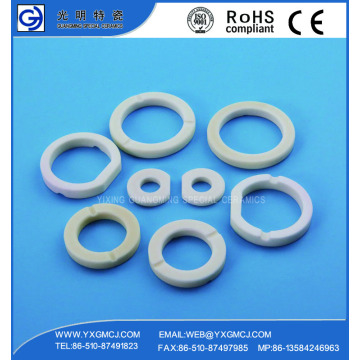 Anticorrosive Advanced 99 Alumina Ceramic Sealing Ring