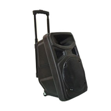Wireless speaker with trolley and hand DVD