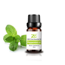Aceite esencial orgánico de menta de menta de aromaterapia al por mayor de 10 ml