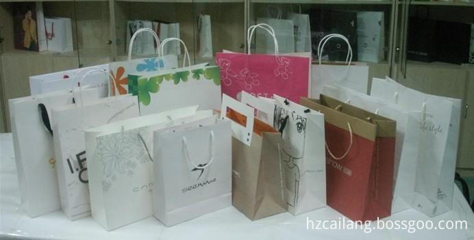 Shopping Gift Bag7