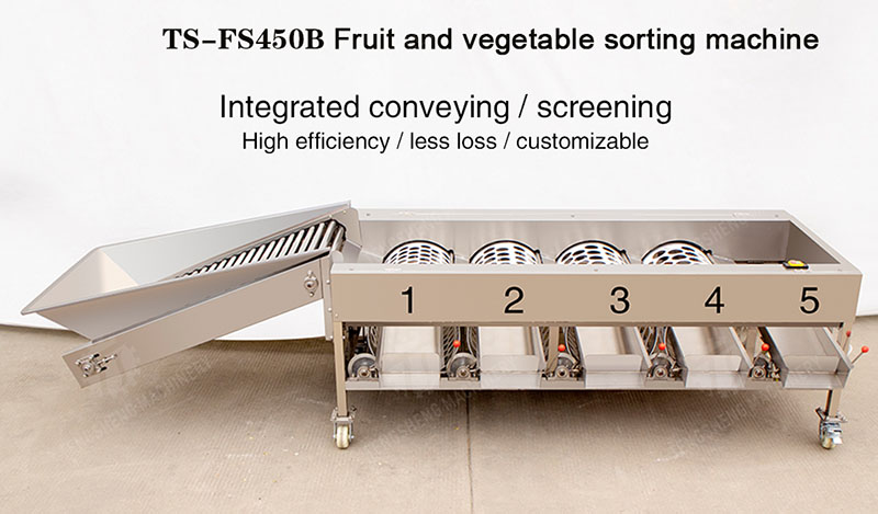 fruit sorter