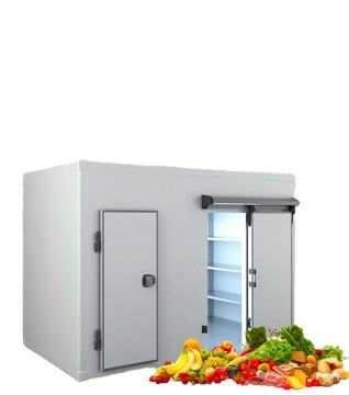 Blast Freezer Room for Meat Storage