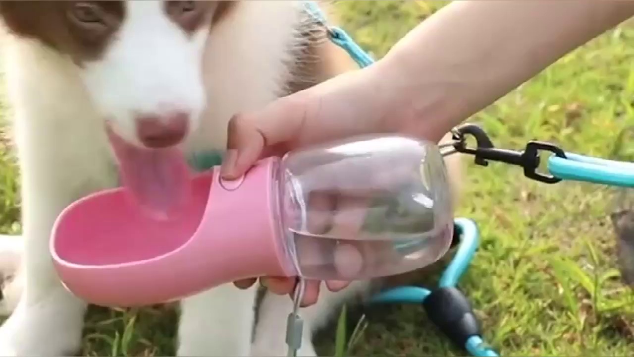 Rena Pet Travel Water Bottle with Feeder