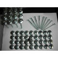 Polished Roofing Nails Siamese Washer Roofing Nails Manufactory