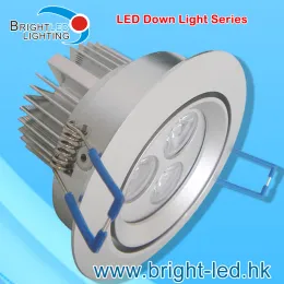 COB LED Down Light/LED Down Lighting/LED COB Ceiling Light (BL-DL-9W)