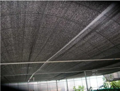 High Quality Green House Sunshade Net