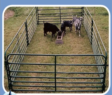 Wholesale Horse Fencing For Sale