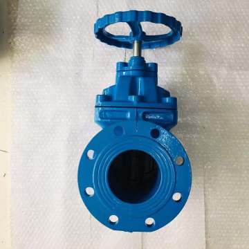 Soft seal blind rod gate valve