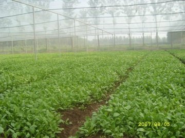 high density polyethylene agricultural insect screen