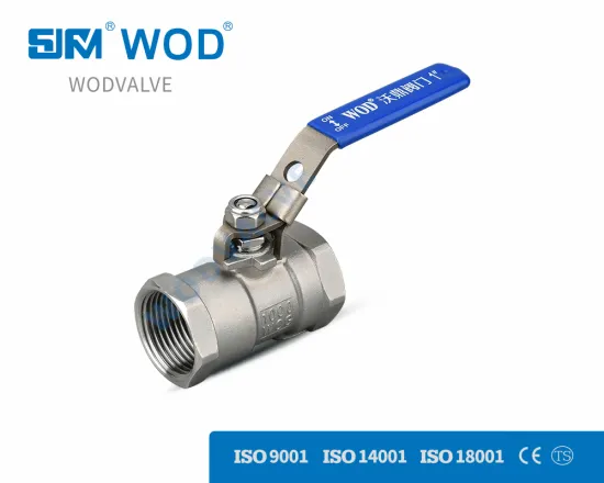 1pc ball valve stainless steel female NPT BSP 304 316 OEM