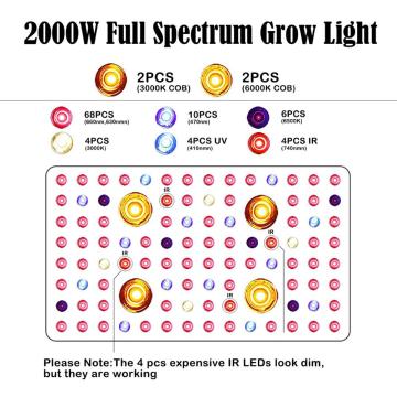 Phlizon 2000W COB-LED wachsen hellweißfarben