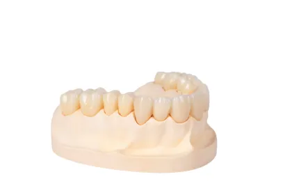 Full Medical Dental Zirconia Crown
