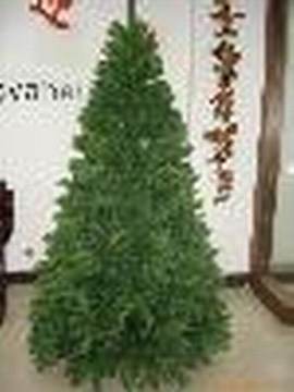 christmas trees