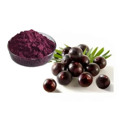 Best Price Acai Berry Extract Maqui Berry Powder