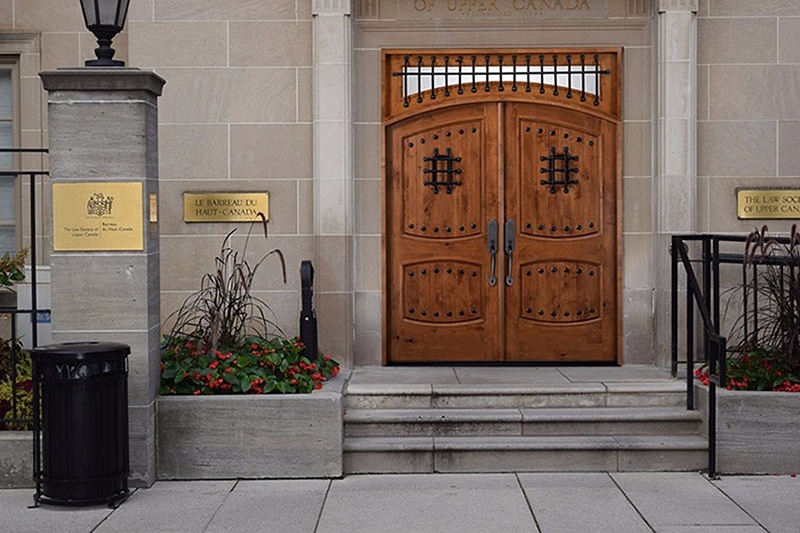 Unique Veneer Door with Vision Panel