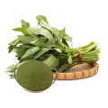 spinach powder with more benefits