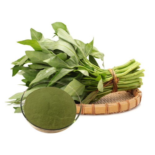 spinach powder with more benefits